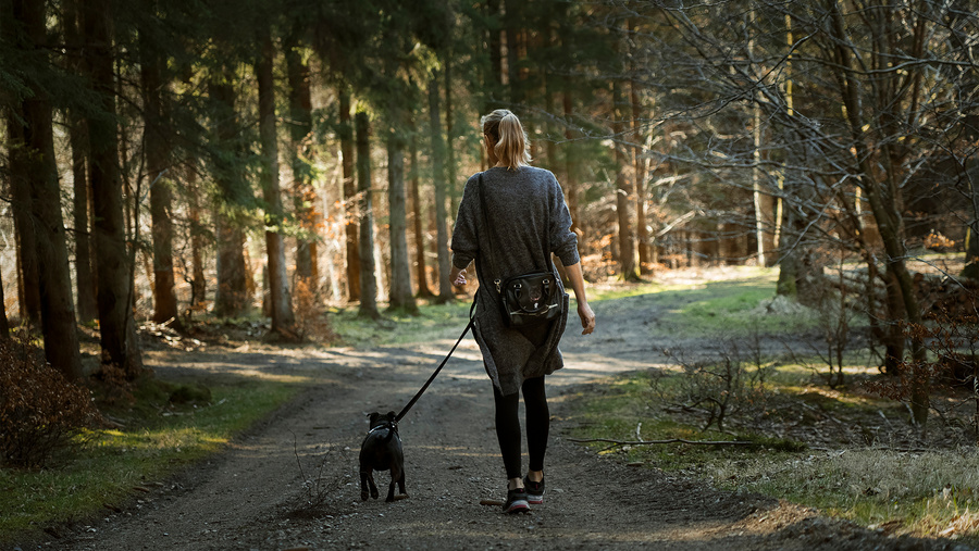 Woman and her Pet Dog walking on Unpaved Pathway 